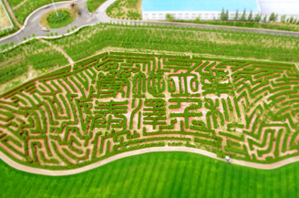 维多利亚老品牌vic(集团)官方网站